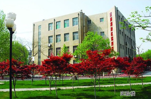 淄博市工業學校開設哪些計算機課程？