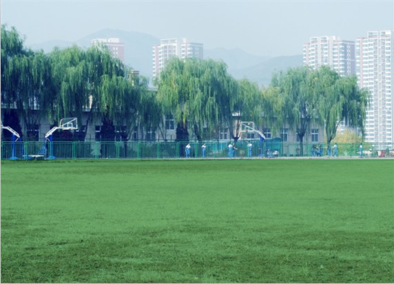 青島滿天星職業培訓學校怎么樣？