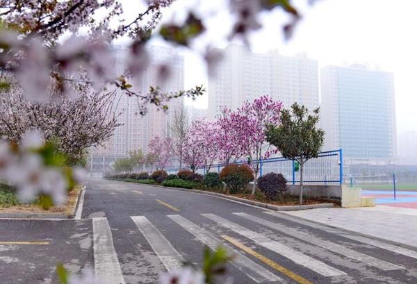 河北大學新世紀函授站成人高考輔導班怎么樣？
